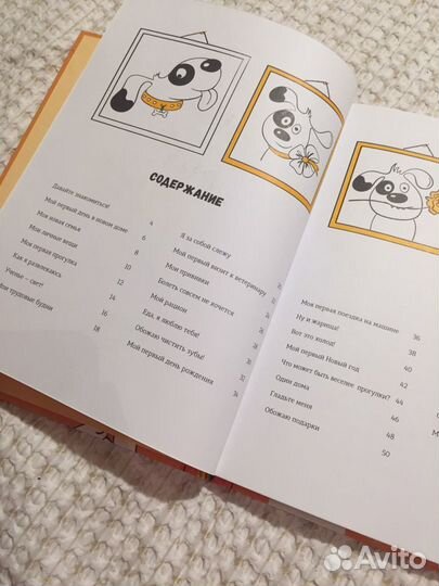 Книга-альбом