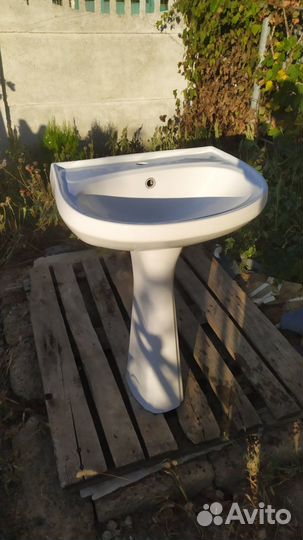 Раковина тюльпан