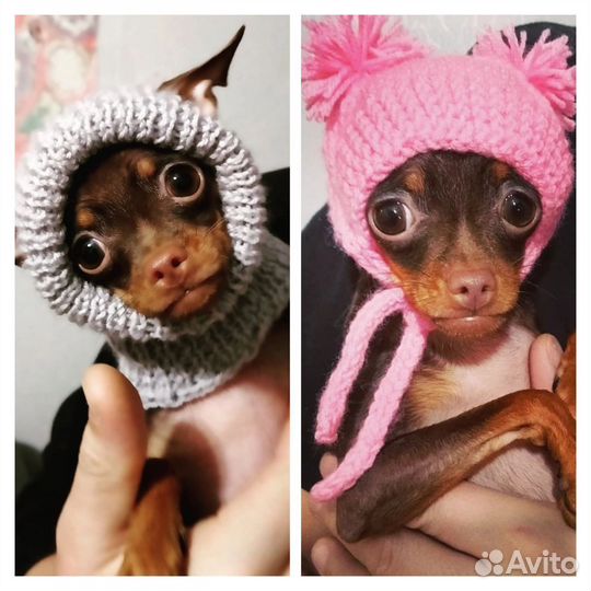 Кофта для собак