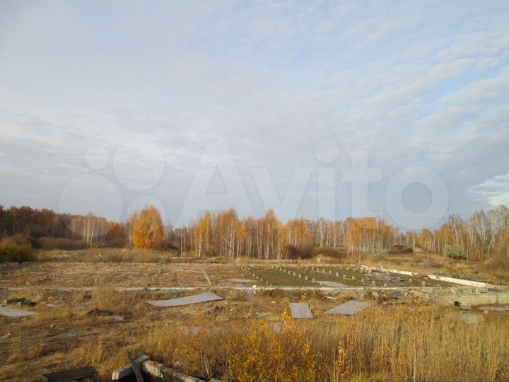 Участок 1,2 га (промназначения)