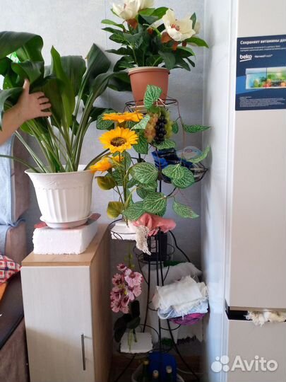 Полка настенная