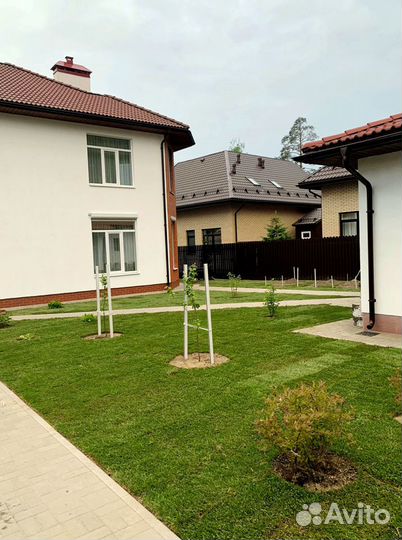 Рулонный газон 