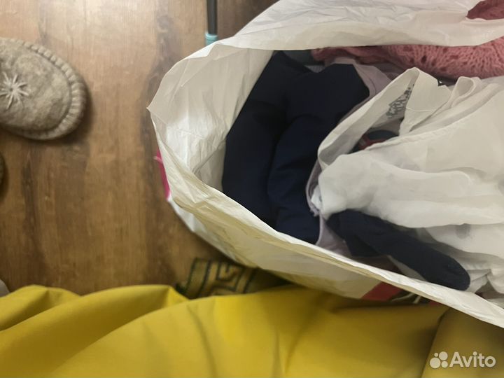 Отдам бесплатно