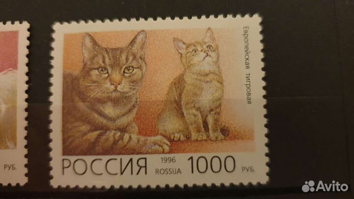 1996, марки РФ Домашние кошки. комплект