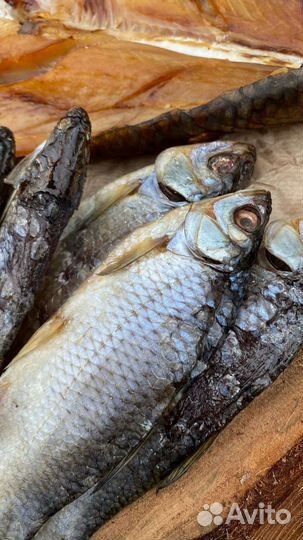 Сорожка Сушёная