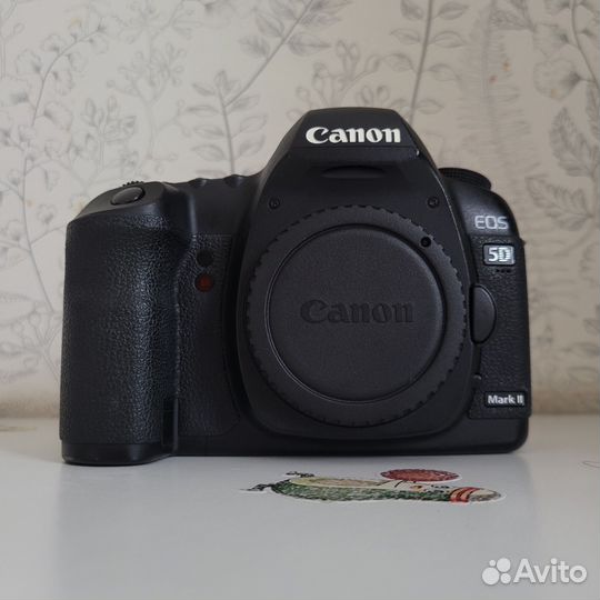 Зеркальный фотоаппарат Canon 5D Mark ii Отличный