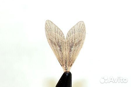 Иммитация Hemingways Caddis Wings-Tan Mixed for 1