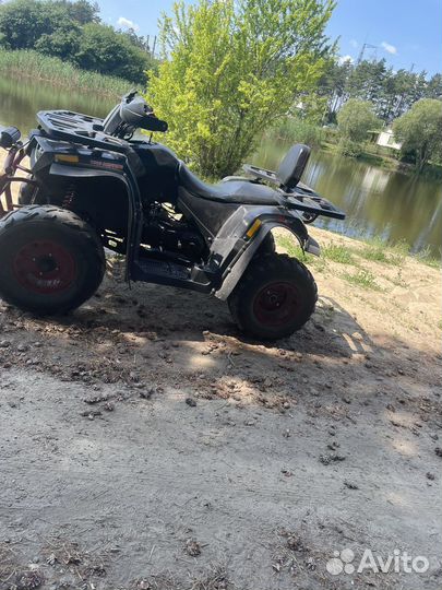 Avantis Hunter 200 new lux