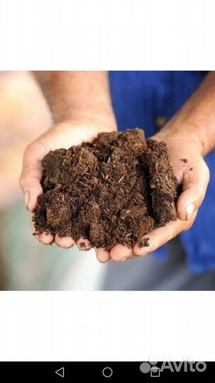 Навоз. Коровий, конский, перегной с доставкой