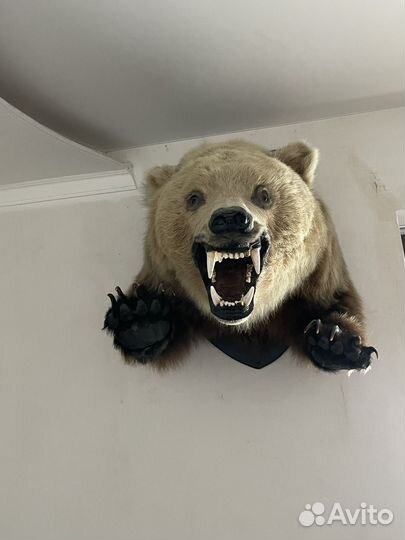 Чучело медведя имитация