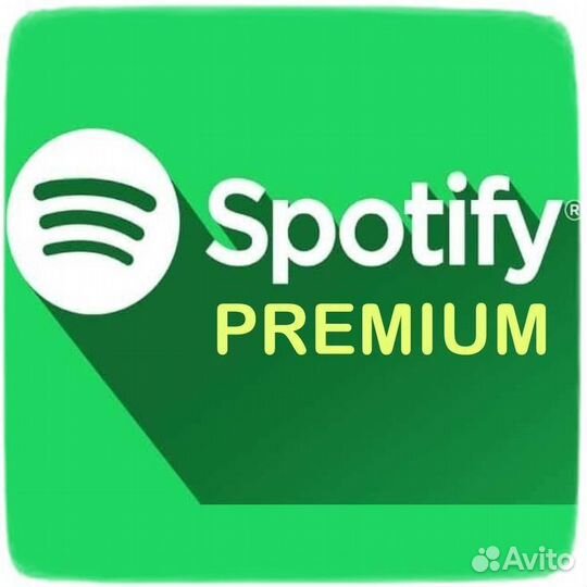 Spotify premium 6 месяцев