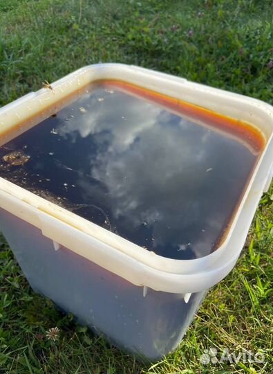 Алтайский мед оптом 2023