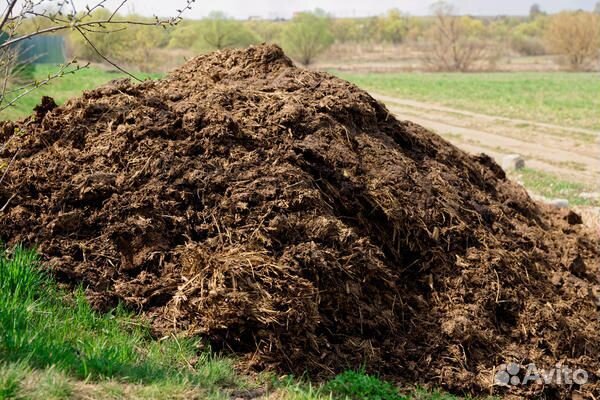 Конский навоз