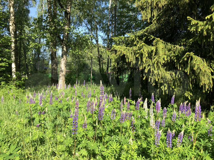 Участок 26 сот. (ИЖС)