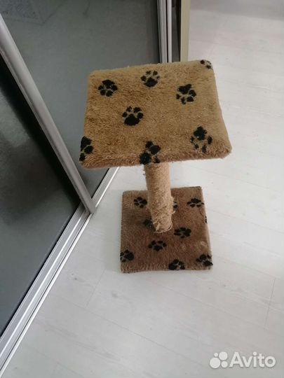 Когтеточка