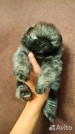 Невероятно красивые-реальные помдетки