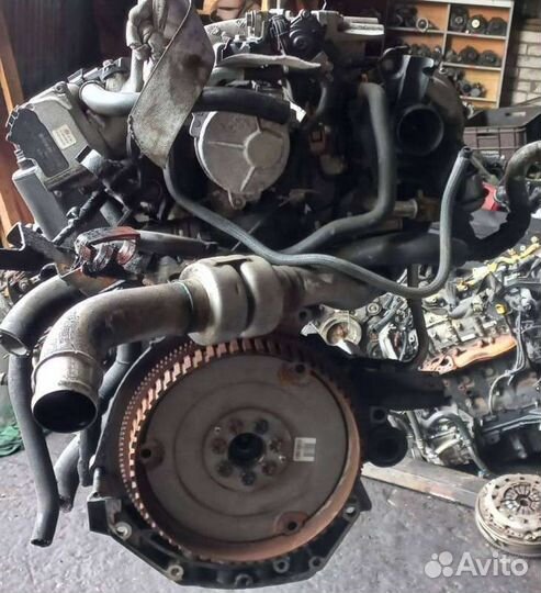 Двигатель F9QJ803 Renault Megane 2 1.9