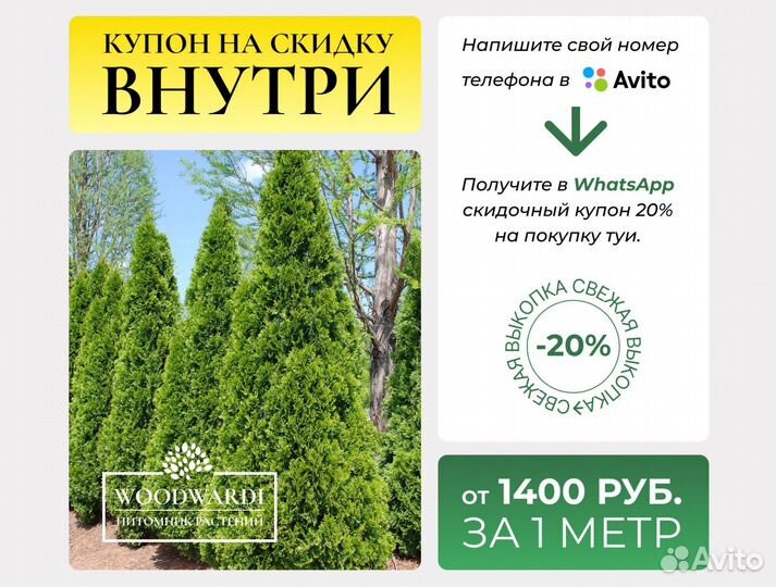 Туи Крупномеры Смарагд 1,8-2 м