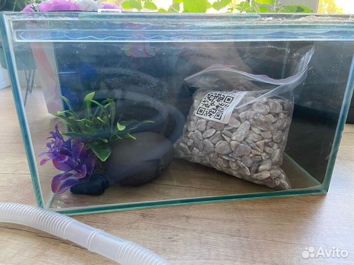 Аквариум с наполнением