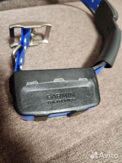 Ошейник Garmin TT10 Америка