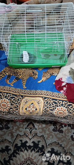 Клетка для хомяков бу