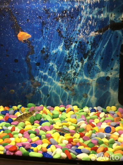Аквариум б/у