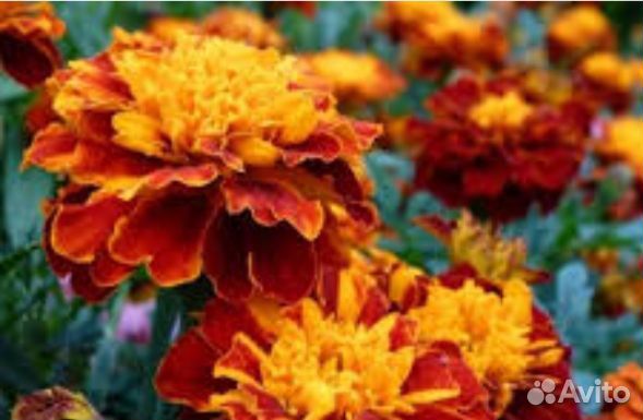 Шапка вязаная