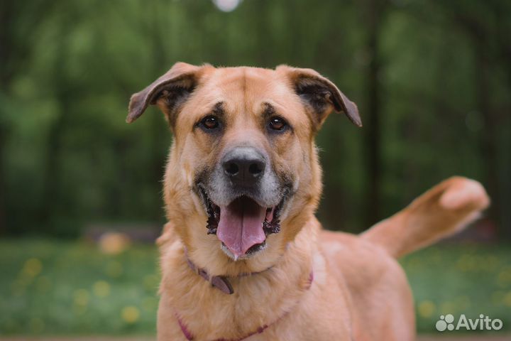 Остался один после домашней жизни