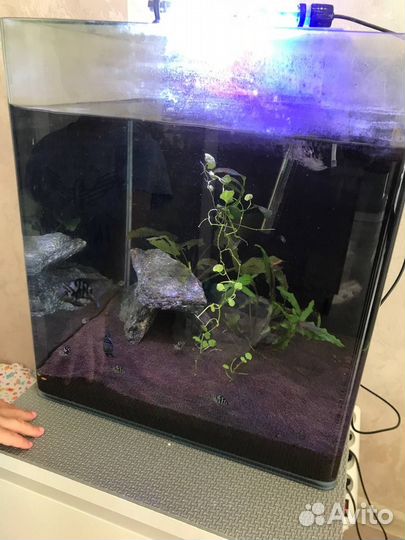Аквариум 60л