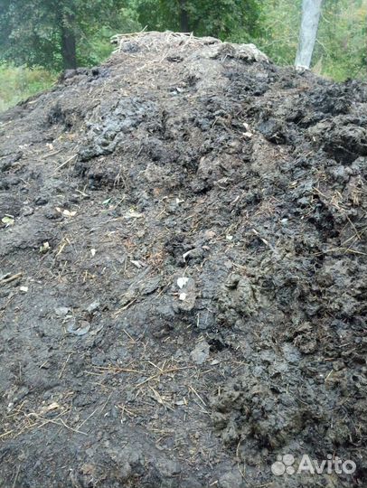 Навоз перегной бесплатно