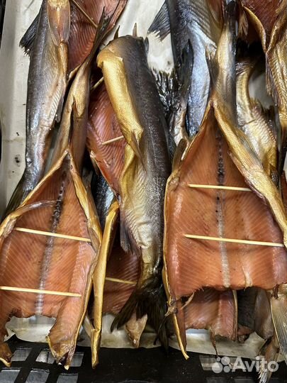 Продажа рыбы оптом