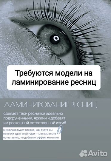 Модели на брови, реснички (лами) в Петергофе