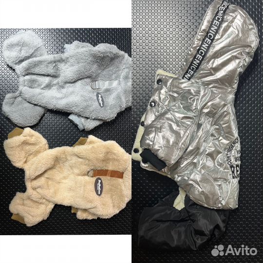 Одежда для собак мелких пород