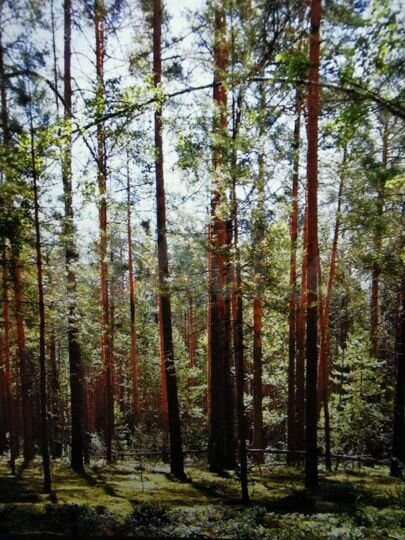 Участок 1,08 га (СНТ, ДНП)