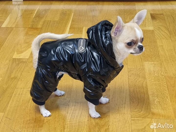 Комбинезон тёплый для мелких собак
