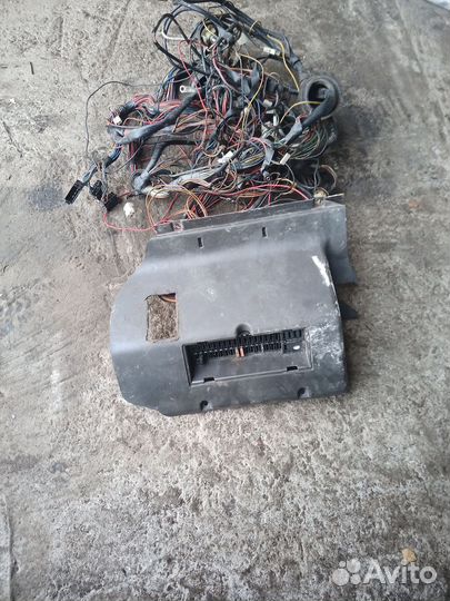 Коса Мерседес Т1