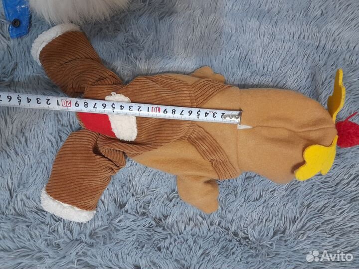 Одежда для собак