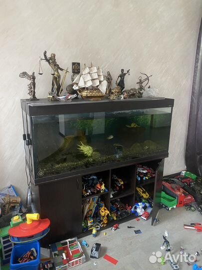 Аквариум со всем необходимым