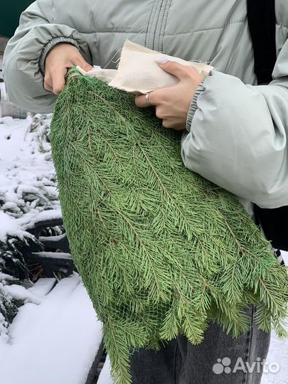 Банный набор для бани