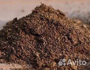 Навоз коровий