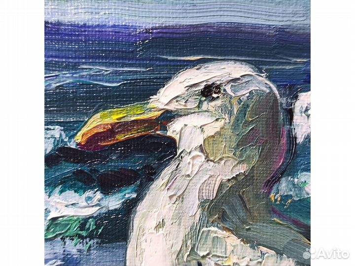 Картина чайка, морская птица, картина маслом 20х20