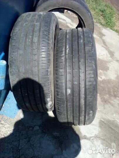 Continental ContiEcoContact 6 205/55 R16
