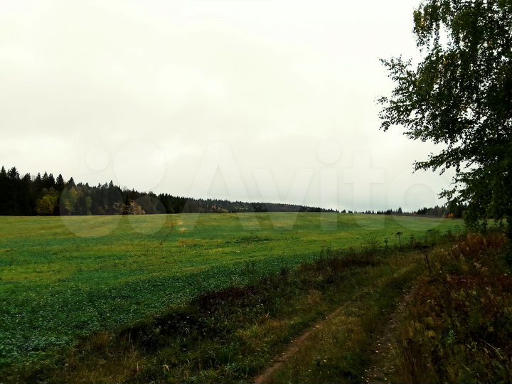 Участок 3,2 га (СНТ, ДНП)