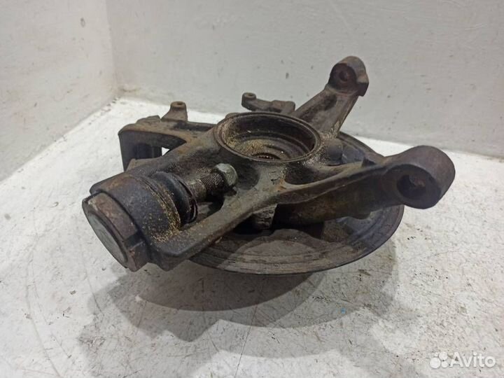 Кулак задний правый