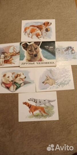 Набор открыток