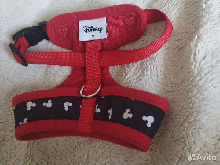 Шлейка для маленькой собаки