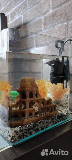 Аквариум 18 л. с наполнением и 2-мя сомиками