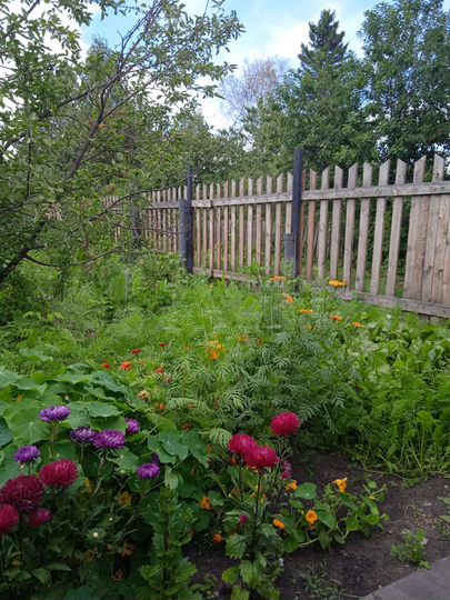 Дача 40 м² на участке 6 сот.