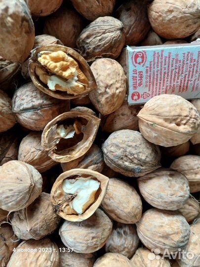 Продам грецкий орех крупный