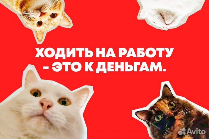 Продавец (можно без опыта) Курск